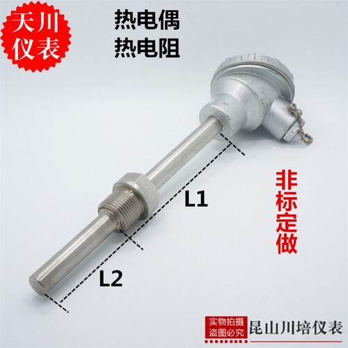 WRN-231热电偶 K型热电偶 非标热电偶 厂家直销偶头PT100