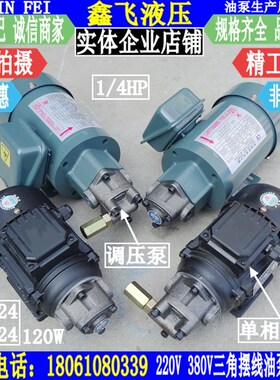 RHB-1.6JZ 13A BMA 11A 12A马达摆线油泵电机组10A 2.5 AM2 AM5