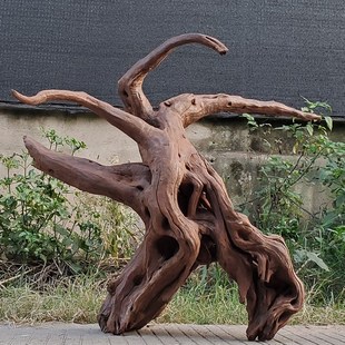 水族南美造景紫柚沉木已煮镂空大型鱼缸木桩木头树桩紫柚木枯木