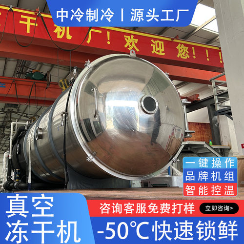 10平方真空冻干机骆驼奶粉冻干设备酸奶块奶酪真空冷冻干燥机厂家