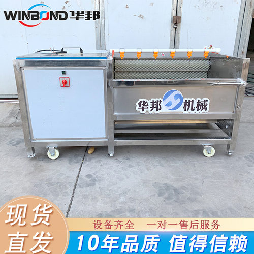华邦牌商用土豆去皮机  不锈钢毛辊清洗机 胡萝卜毛刷清洗机