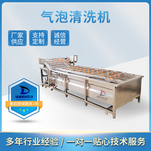 绿驰机械 清洗机 全自动果蔬气泡清洗机 不锈钢蔬菜清洗设备喷淋式