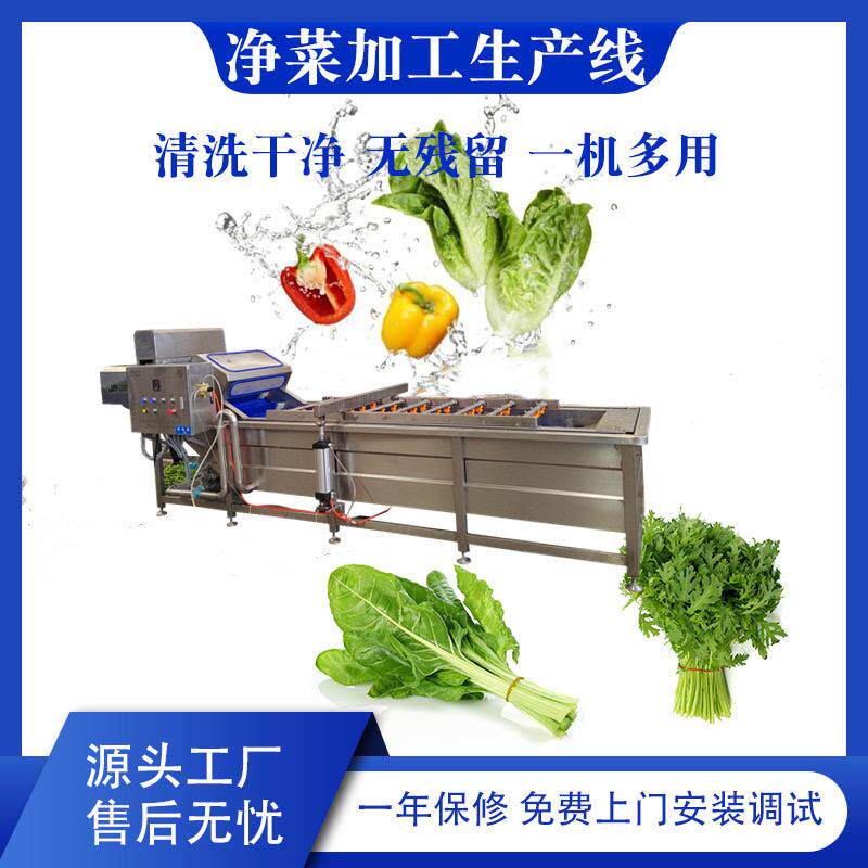 蔬菜气泡清洗机全自动酸菜山野菜清洗线大型气浴翻浪净菜流水线