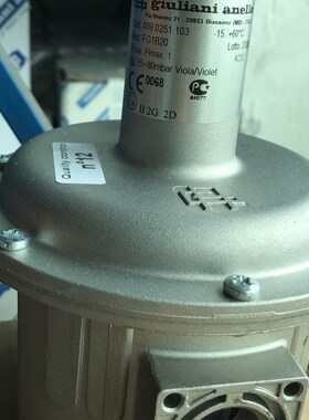 意大贵龙减压阀FG1B20减压阀FG1B15.FG1B25