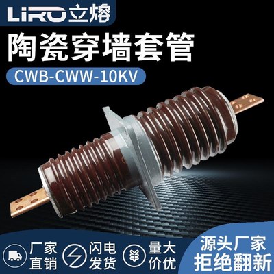 CWB-CWW-10KV/800A1000A-1250A户外12KV防污型高压铜排穿墙套管
