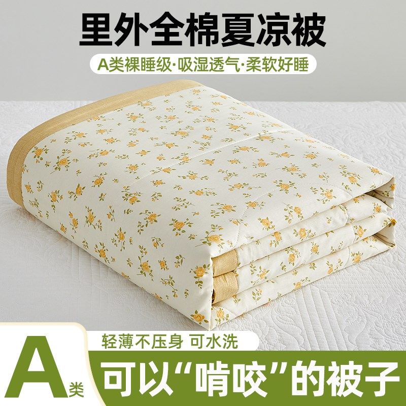 双面夏被可机洗A类棉花被1w00全棉夏凉被空调被夏季薄被子被芯