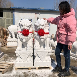 石雕石狮子青石狮子一对圆雕庭院门口石头天然汉白玉小户外摆件