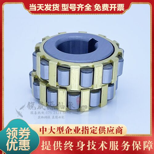进口减速机偏心轴承RN205 RN206 RN309 RN312 RN219 222 307