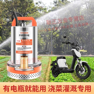 直流潜水泵12V24V48V60V家用电瓶车抽水小型电动农用浇菜神器户外
