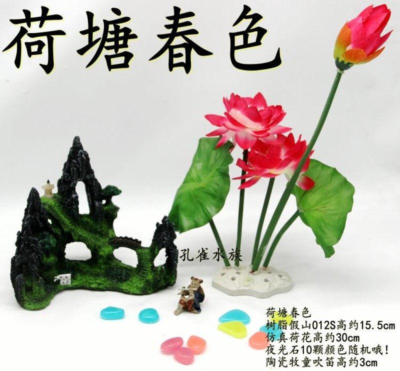 生态水族箱玻璃鱼缸花瓶荷花大号装饰养观赏鱼鱼50-60cm造景套餐