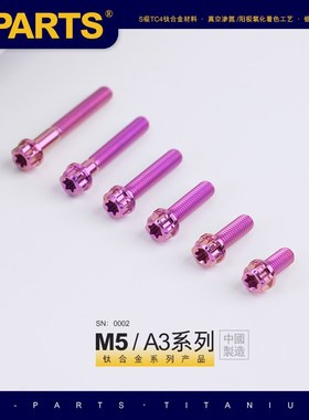 SPARTS 紫色 A3 系列 M5 L06-110mm 钛合金螺丝 摩托车汽车