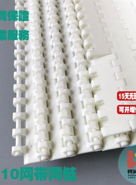2510塑料网带平板白色输送带节距25.4mm传送带PP/POM材质输送网链