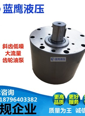 CB-B160 XCB-B250 B300/B350/B400齿轮泵DCB-B200/B125/B100/B500