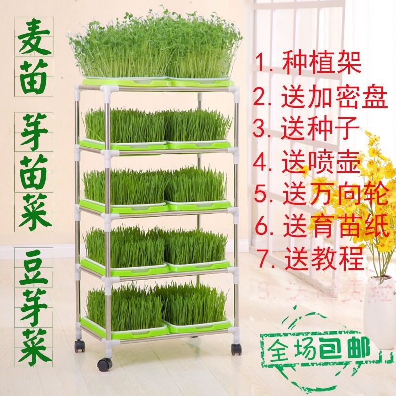 豆芽发芽育苗盆豆苗芽苗菜育苗盘大蒜小麦种植托盘水培塑料豌豆苗,厨房电器,商用制热电器配件,淘宝优惠券,粉丝福利购,淘宝优惠卷