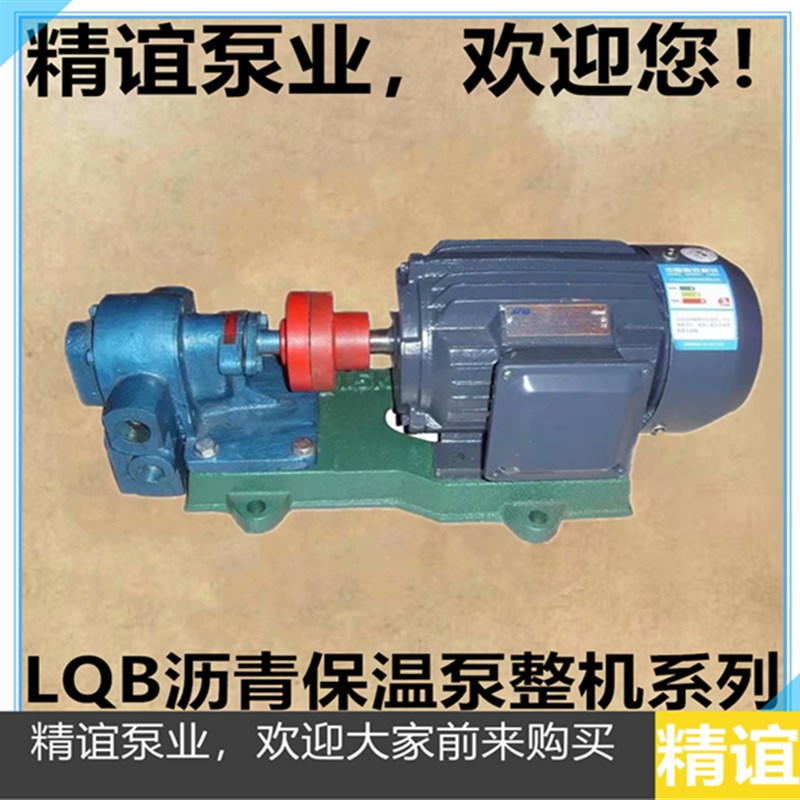 高温电动沥青泵LQB1/2/3/5/-0.36树脂泵石蜡泵化工泵齿轮油整机