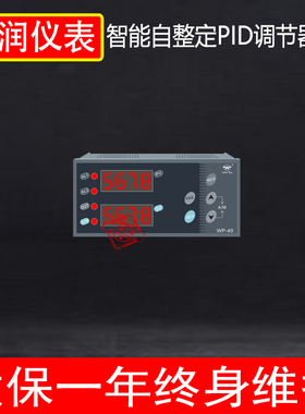 上润仪表WP-D805A/D905A/D405A-020-23-HL  PID自整定恒压调节仪