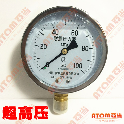 雷尔达仪表/YN100耐震压力表充油压力表防震超高压100MPA液压表