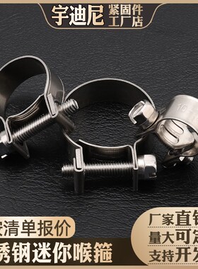 304不锈钢油管油路专用卡箍/不锈钢小强力喉箍/管夹抱箍迷你卡箍