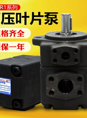 液压叶片泵低噪音齿轮双联变量油泵PV2R1-6 8 10 12 14 17 19 23