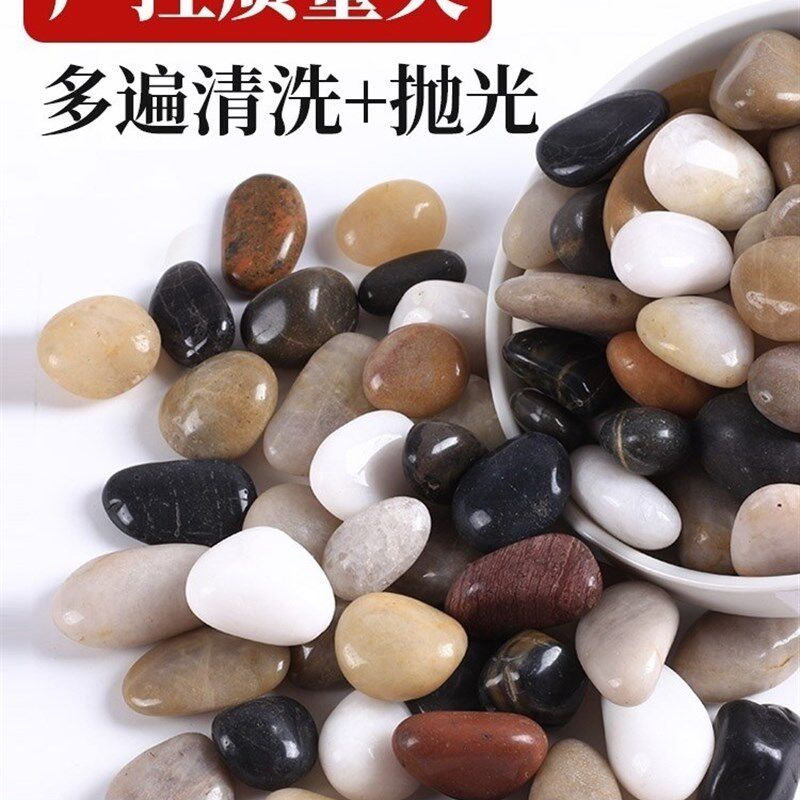 天然原石鹅卵石头花盆栽铺面装饰鱼缸造景五彩色小石子