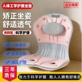 人体工学护腰坐椅办公室神器靠背一体腰靠垫腰托工位久坐腰部支撑