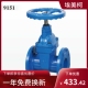 埃美柯弹性座封闸阀Z45X 9151铸铁法兰暗杆座封软密封闸阀 16Q
