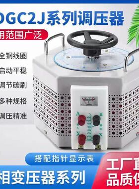 单相220V交流调压器TDGC2J-500W 1KW 2000W 3000W 5KVA 0-250可调