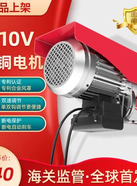 筑工 迷你微型电动吊车110V小型升降绞盘起重吊机提升卷扬机吊车
