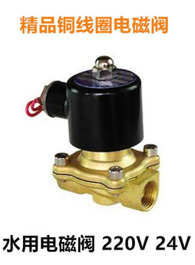 2W常闭电磁阀全铜电磁阀2分 3分 4分 6分1寸水用电磁阀220V