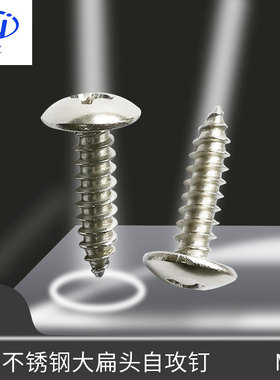304不锈钢大扁头十字自攻螺钉TA伞头蘑菇头螺丝M5*810 12 14 16