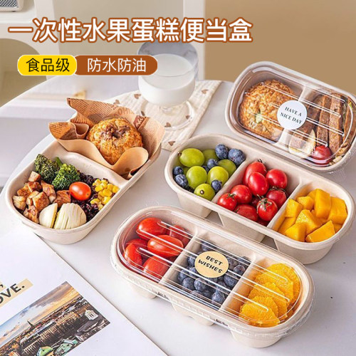 可降解环保轻食便当打包盒