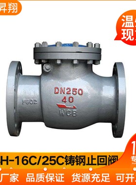 H44H-16C/25C铸钢法兰旋启式止回阀 DN50 65 80 100 125 150 200