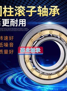 圆柱滚子轴承N NJ NU NUP 304 305 306 307 308 309 EM/C3/C4嘉业