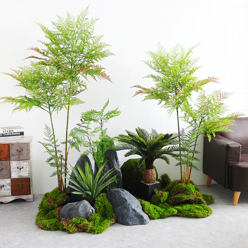 ins风仿真观音蕨植物盆栽套装装饰侘寂风大型室内绿植橱窗造布景