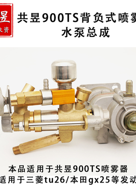 共昱水泵总成900ts喷雾器打药机泵头高压泵头单缸泵进口喷雾器泵