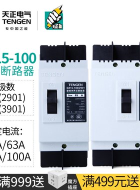天正3P塑壳断路器三项380V空气开关2P单相DZ15-100/3901 2901 63A