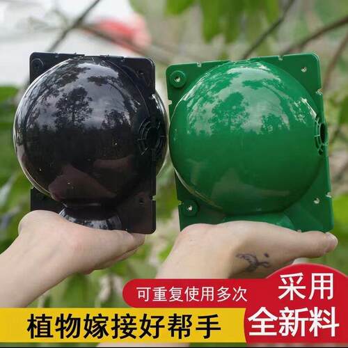 植物嫁接盒繁殖盒控根盒移植生根球花卉果树扦插育苗神器园艺