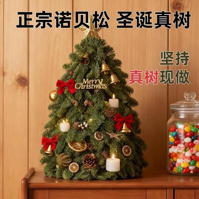 寻花阁圣诞树诺贝松真树2025新款客厅装饰品落地摆件小型桌面迷你
