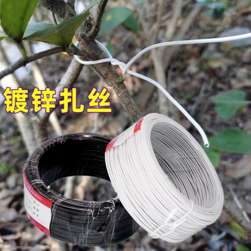 电镀锌铁丝扎线0.55扁圆形园艺捆绑包塑扎丝0.75葡萄架固定带子扣