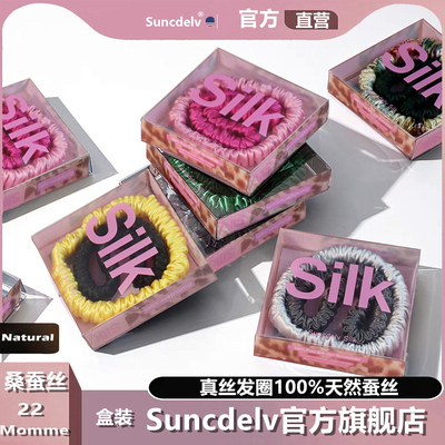 SUNCDELV小粉盒真丝成人女发圈发绳 简约小肠丝绸皮筋发带发饰