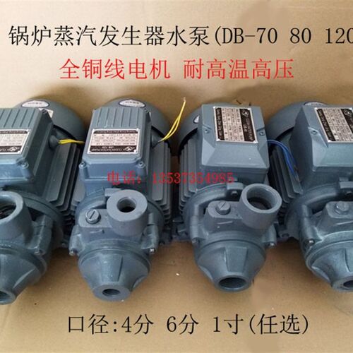 锅炉蒸汽发生器补水泵 高压旋涡泵1/2DB-70 3/4DB-80 1DB-120