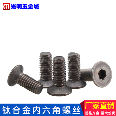 M2M2.5纯钛TA2平杯钛合金机丝防腐螺钉沉头内六角钛螺丝轻质轻量