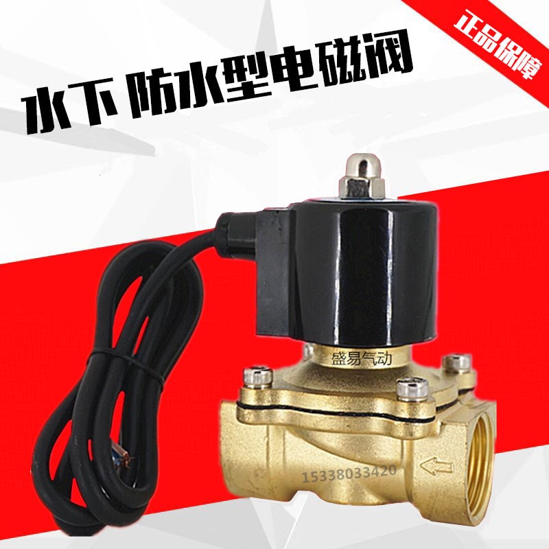 水下喷泉跳泉 1寸防水电磁阀水阀开关阀2W250-25气阀AC220V DC24V
