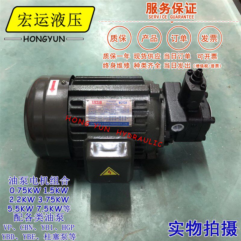 液压油泵电机组VP20+0.75KW1.5液压泵总成内轴电机液压站配件系统,包装,包装袋,淘宝优惠券,粉丝福利购,淘宝优惠卷