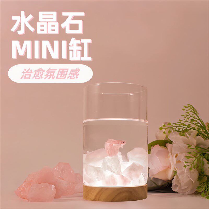 斗鱼专用缸灯造景小型鱼缸桌面微景观水晶石超白玻璃生态瓶创意缸