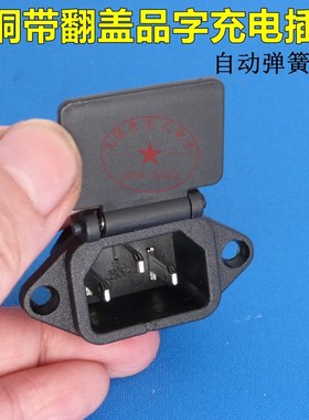 LANZMFG朗正全铜实心脚 电动车充电口 带盖自动落盖 安全品字插座