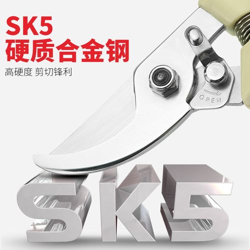 台湾DAREX进口修枝剪摘果园林园艺剪刀手剪正品果树剪刀修枝神器