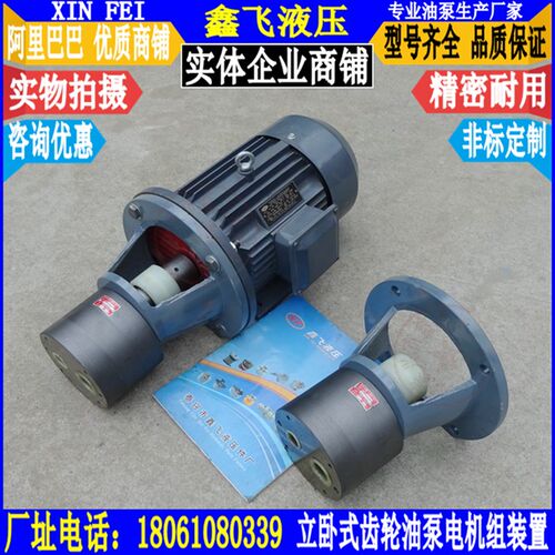 HYCB-B40JZ B50JZ B63JZ B80JZ B100JZ B125JZ齿轮油泵电机组装置