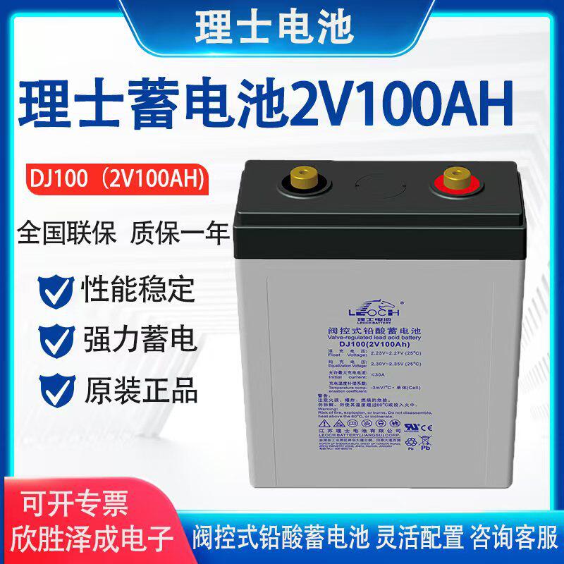 LEOCH理士蓄电池2V100AH