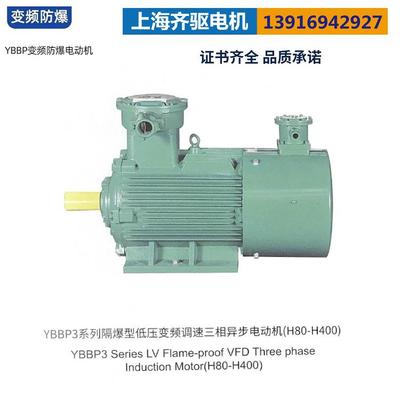 变频调速隔爆型三相异步电动机YBBP-180L-6-15w-B3变频防爆电机